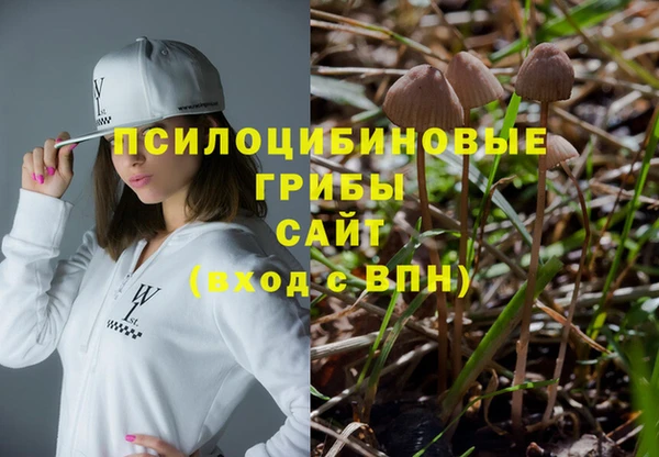 сатива Пестово