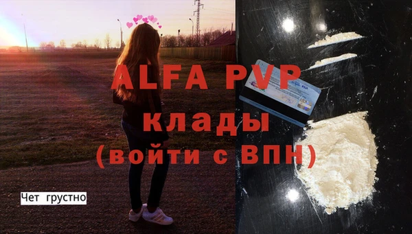 крисы Абаза