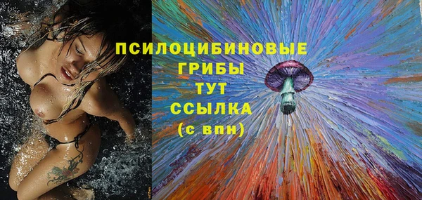 гашик Переславль-Залесский